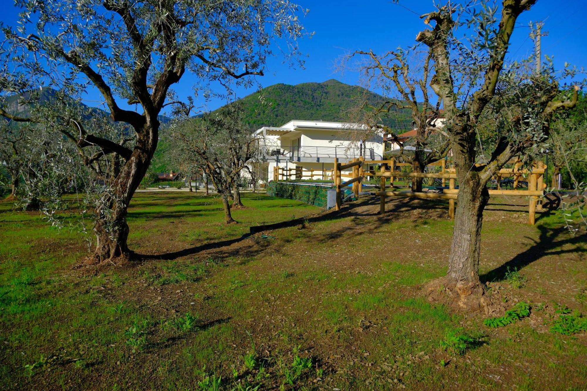 Costa Blu - Terrace Overlooking The Lake & Pool Riva di Solto Buitenkant foto